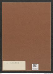 Diatomeae indet. (de-Toni-Nr.: Species 2141 ?) Zeichnungen Sammlung Grunow Mappe 02302 (Herbarium_W_Grunow_drawings_Folder_02302)